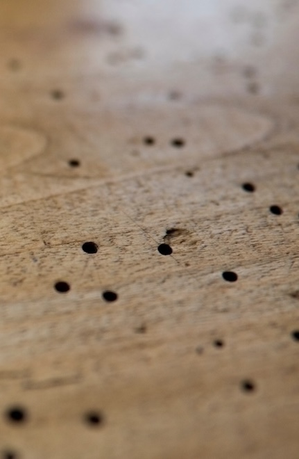 Holzwurm bekämpfen Copy Right Adobe Stock Von galileo120